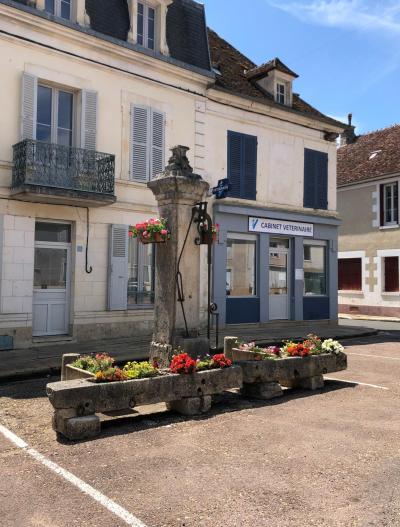 pompe à eau de la place du marché