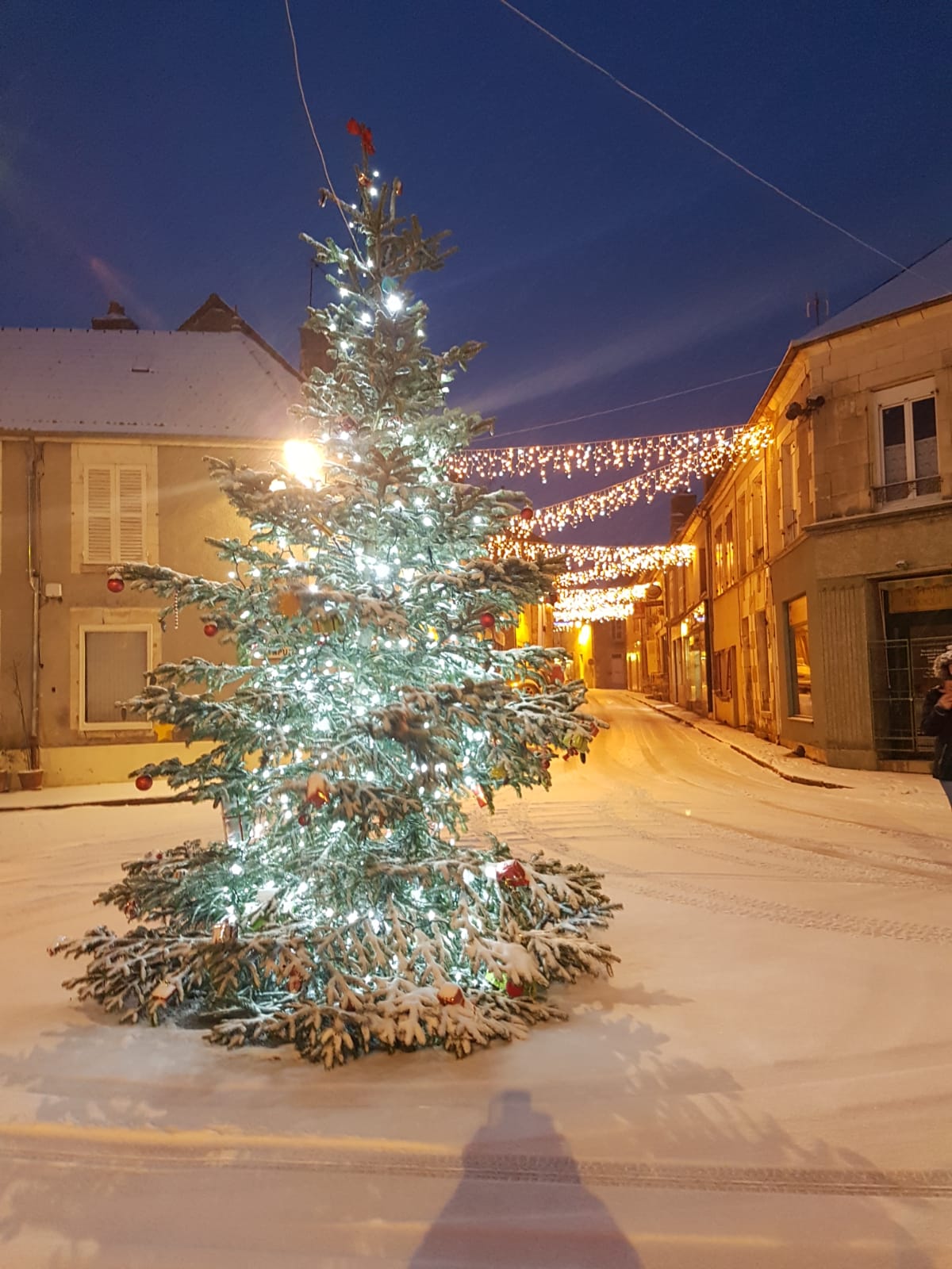 Sapin décoré  et rue illuminée sous la neige